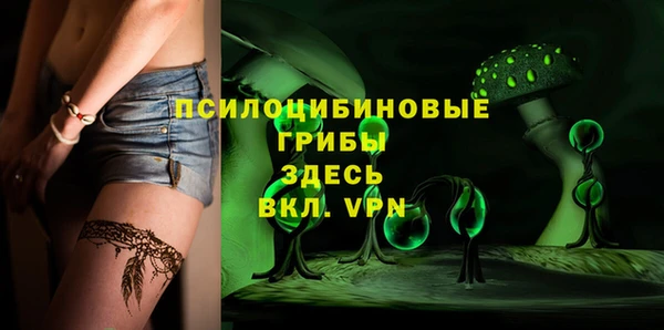 твердый Покачи