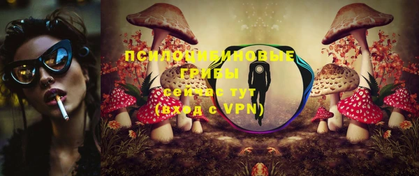 твердый Покачи