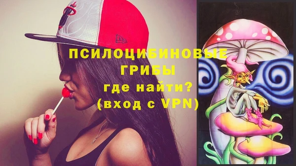 твердый Покачи