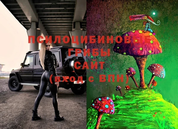 твердый Покачи