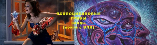 твердый Покачи